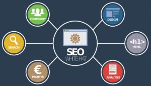Belajar SEO Dasar konsep dasar